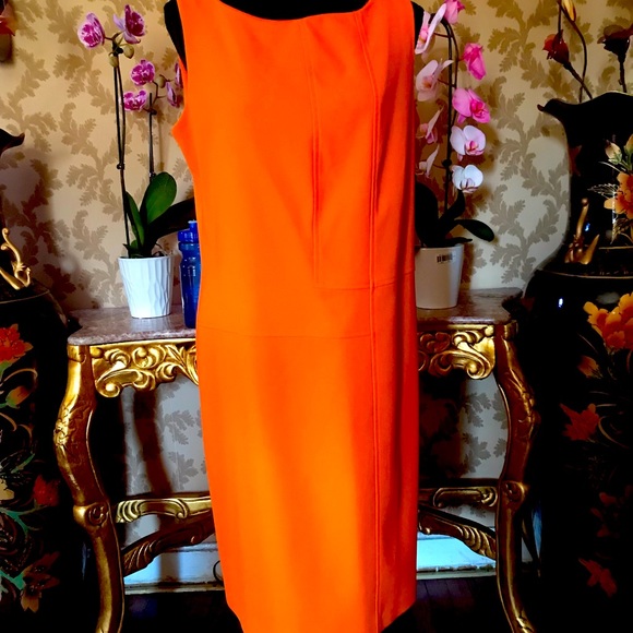 Dani Max Dresses & Skirts - Women’s Dress Sleeveless with embroidered in the front